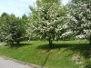 boule-067_grose-andern.jpg