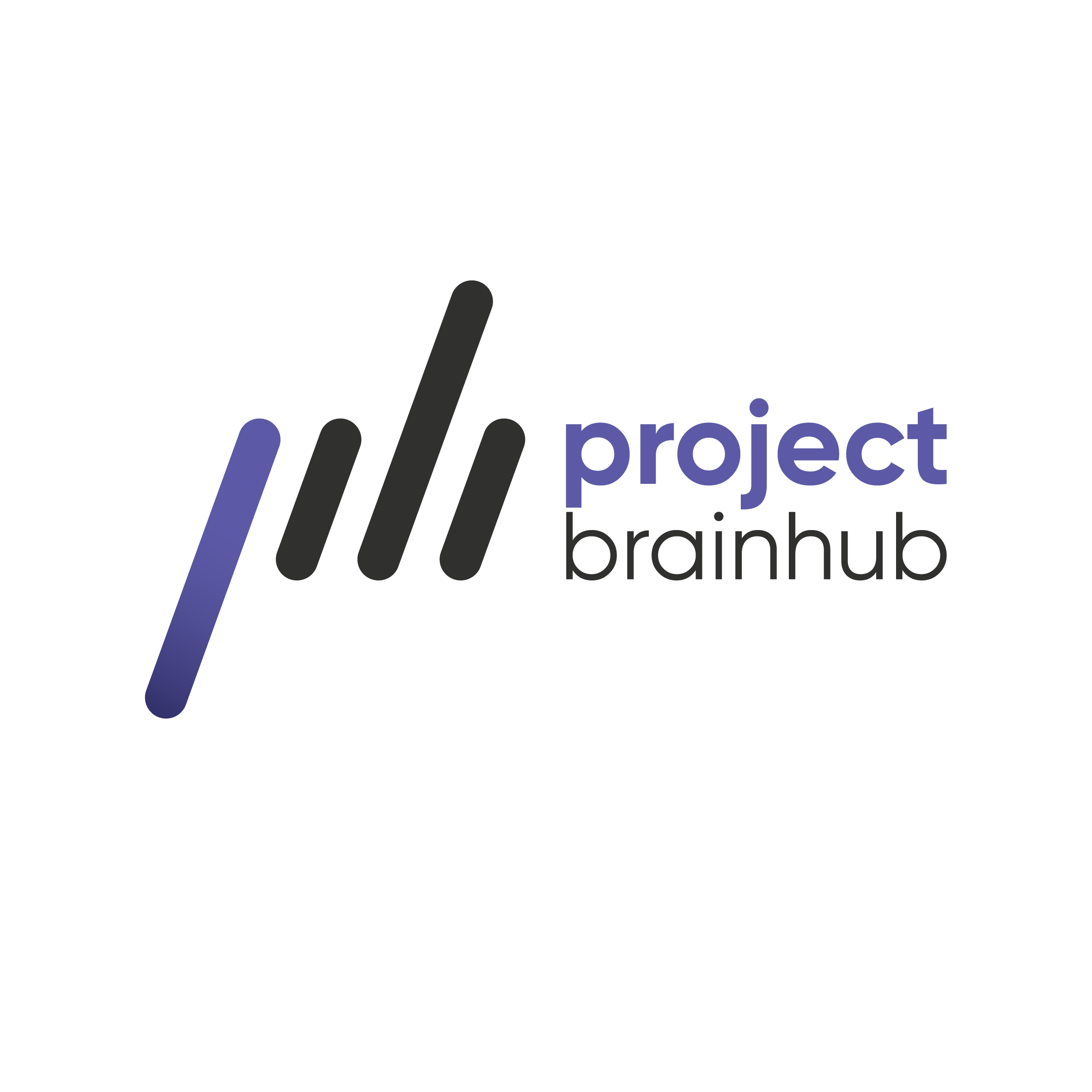 Project Brainhub